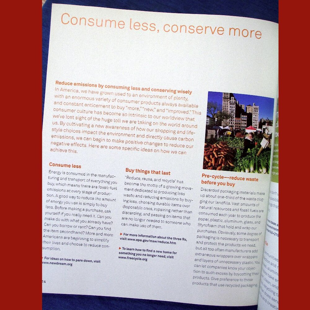 Book - An Inconvenient Truth: The Planetary Emergency of Global Warming.... - Picture 11 of 16